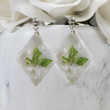 Load image into Gallery viewer, Handmade stud drop earrings made with real pressed fern and silver leaf preserved in resin. - Fern Earrings, Leaf Earrings, Resin Earrings, Earrings